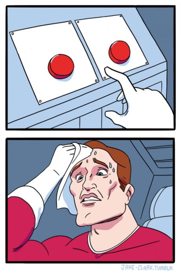 A picture of a decision maker in the wild